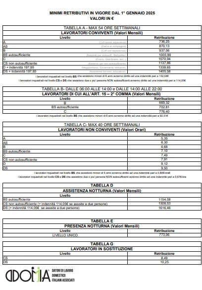 minimi retributivi 2025 lavoro domestico